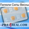 Пилюли Силы Весны 24